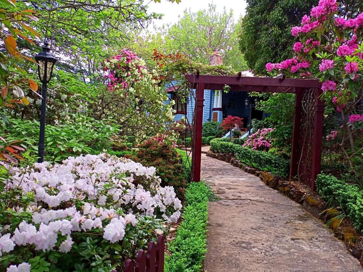 בלאקהית' Kubba Roonga Guesthouse - Boutique Luxury Spa Retreat & Gardens - Blue Mountains מראה חיצוני תמונה