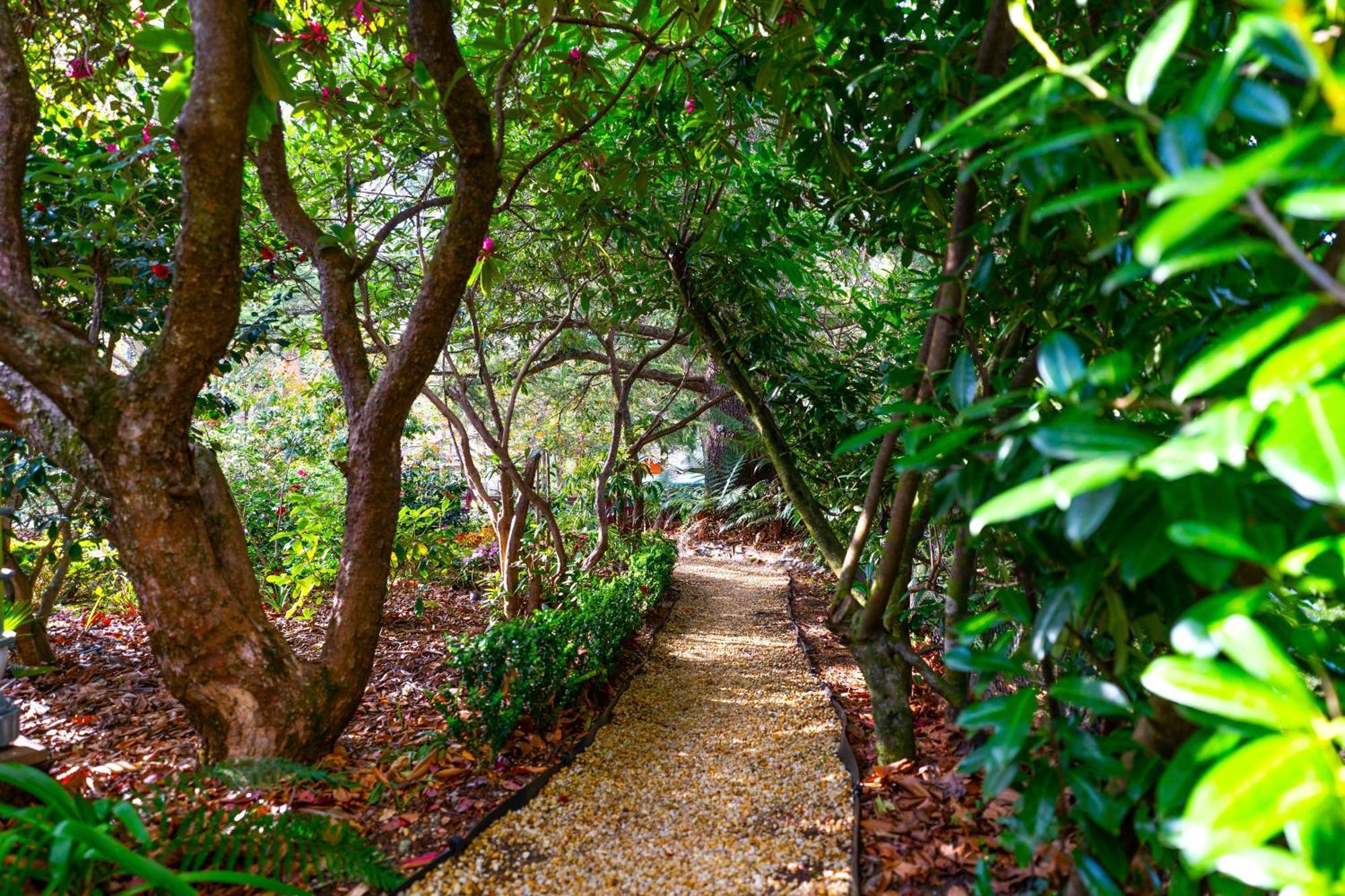 בלאקהית' Kubba Roonga Guesthouse - Boutique Luxury Spa Retreat & Gardens - Blue Mountains מראה חיצוני תמונה