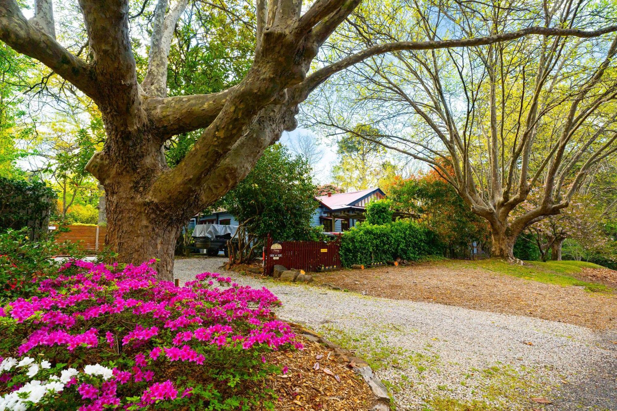 בלאקהית' Kubba Roonga Guesthouse - Boutique Luxury Spa Retreat & Gardens - Blue Mountains מראה חיצוני תמונה