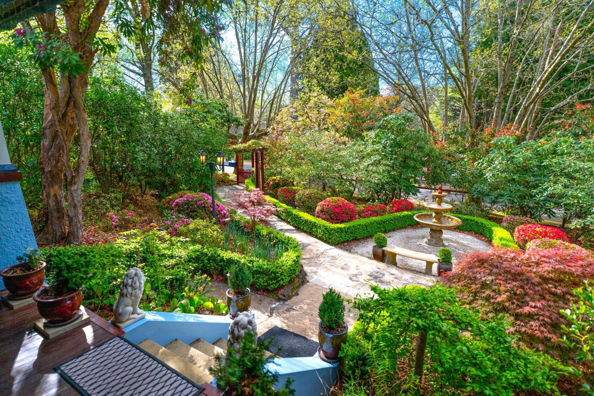 בלאקהית' Kubba Roonga Guesthouse - Boutique Luxury Spa Retreat & Gardens - Blue Mountains מראה חיצוני תמונה
