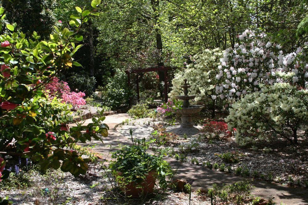בלאקהית' Kubba Roonga Guesthouse - Boutique Luxury Spa Retreat & Gardens - Blue Mountains מראה חיצוני תמונה