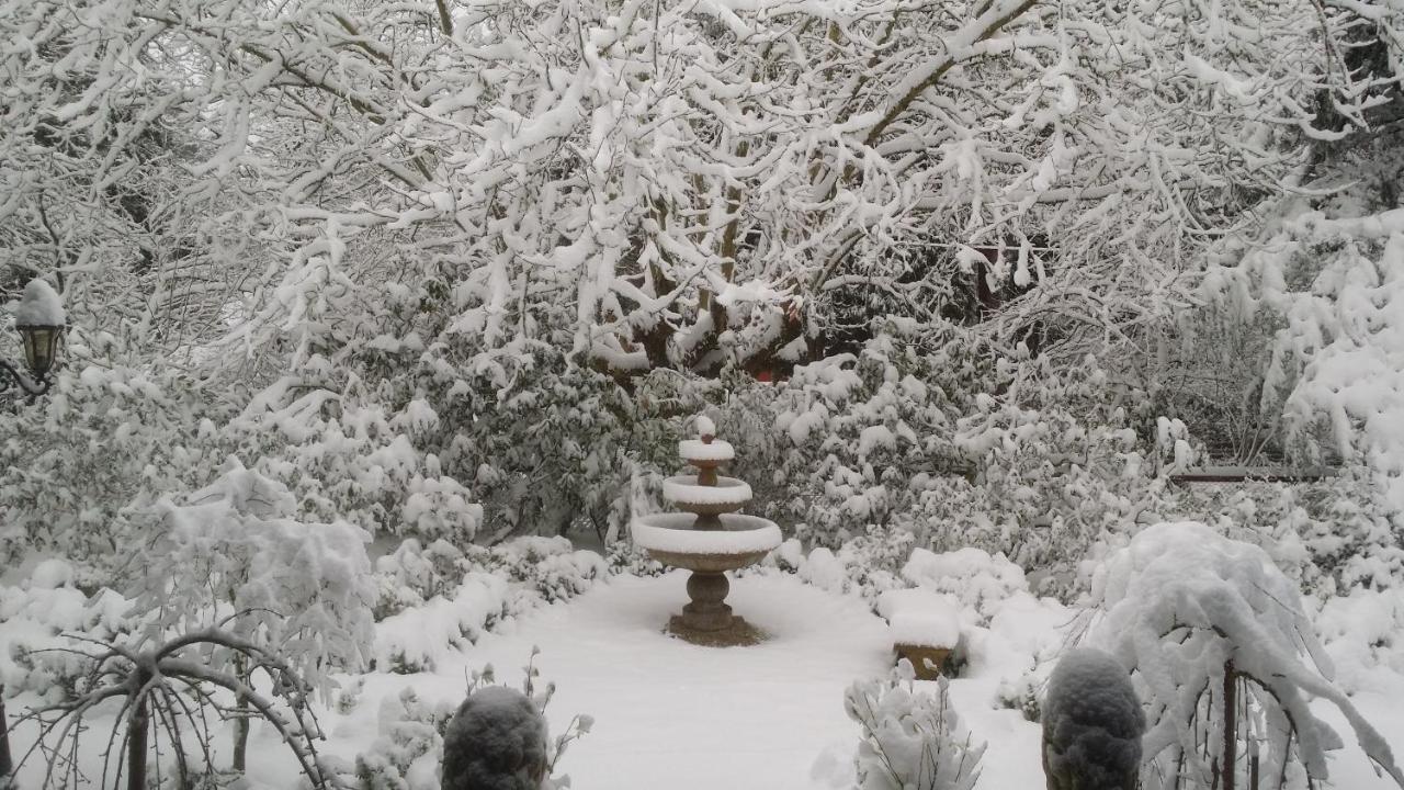 בלאקהית' Kubba Roonga Guesthouse - Boutique Luxury Spa Retreat & Gardens - Blue Mountains מראה חיצוני תמונה